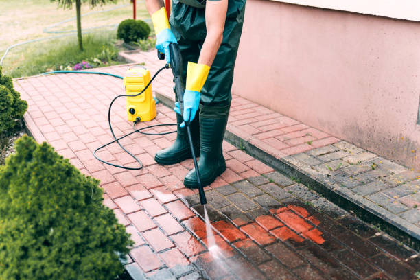 Best Roof Pressure Washing  in Nashvle, IL