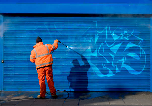Best Residential Pressure Washing Services  in Nashvle, IL