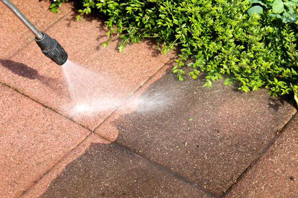 Best Local Pressure Washing Services  in Nashvle, IL