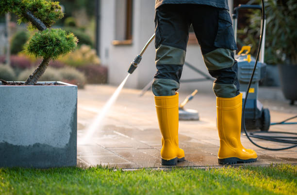 Best Sidewalk Pressure Washing  in Nashvle, IL